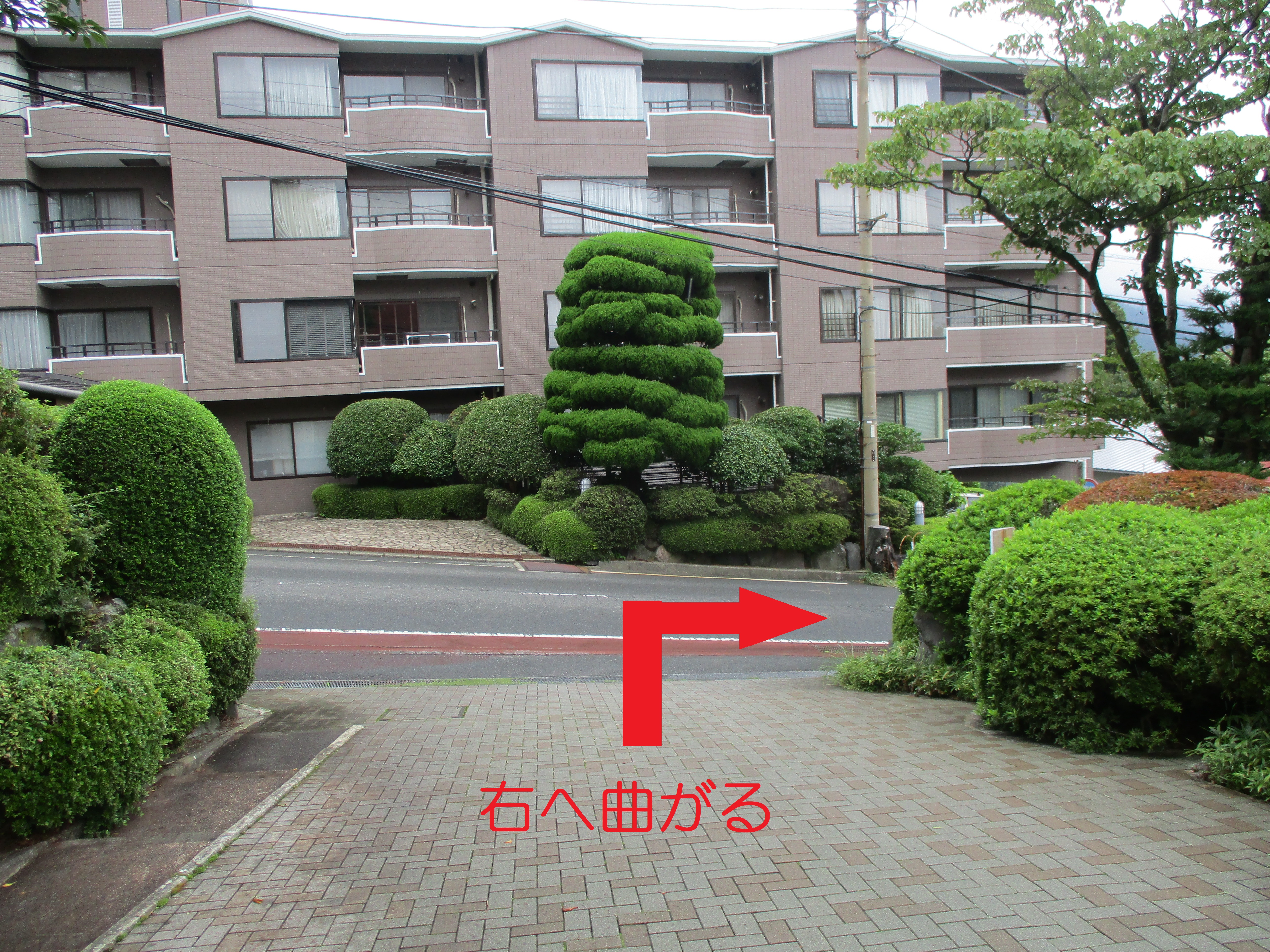 つつじ荘からバス停 ひめしゃら林道 までの行き方 箱根つつじ荘